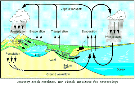 Carbonation Diagram